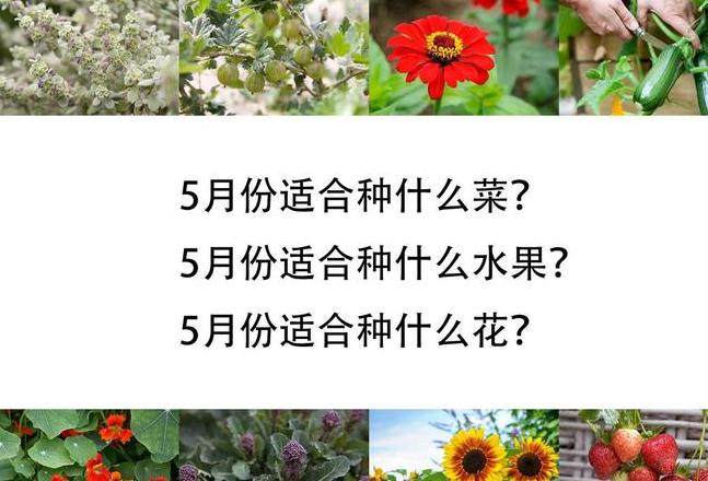 各月当季蔬菜水果全解析