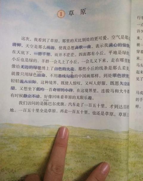 草原课文第一自然段解析