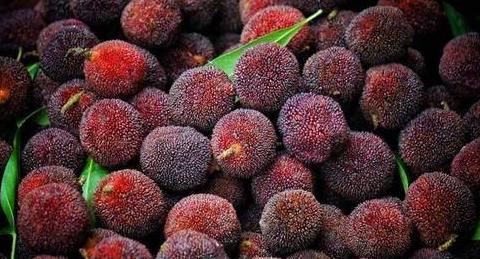 四季水果指南：不同季节的时令水果推荐