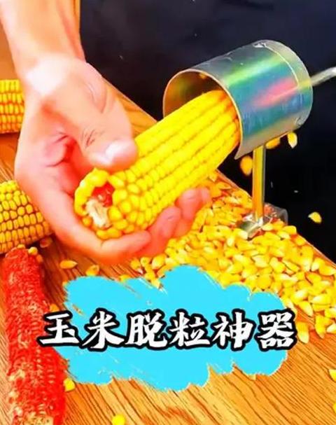 生玉米不剥皮可以放多久