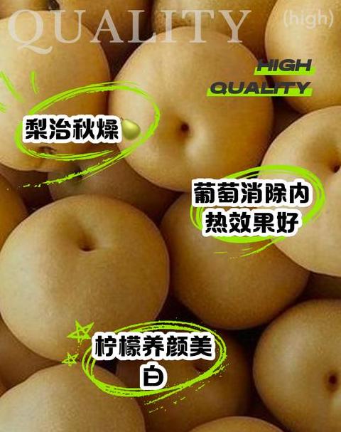 春季水果推荐：当季美味营养水果大盘点