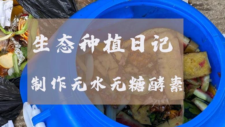 自制水果酵素全攻略：做法、喝法及注意事项