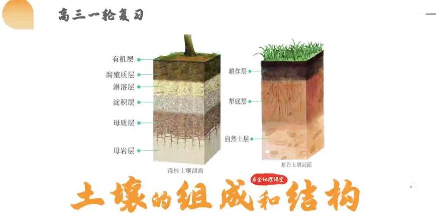 土壤剖面层次形成揭秘