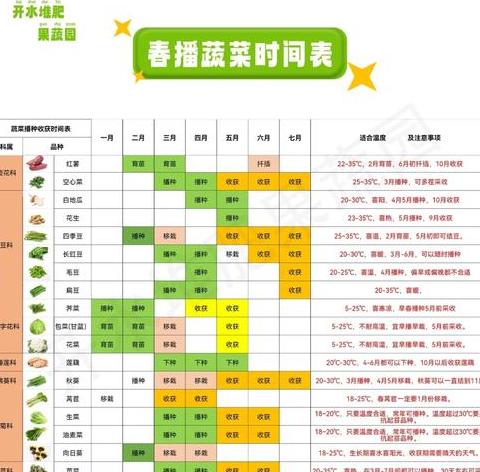 蔬菜施肥频率指南