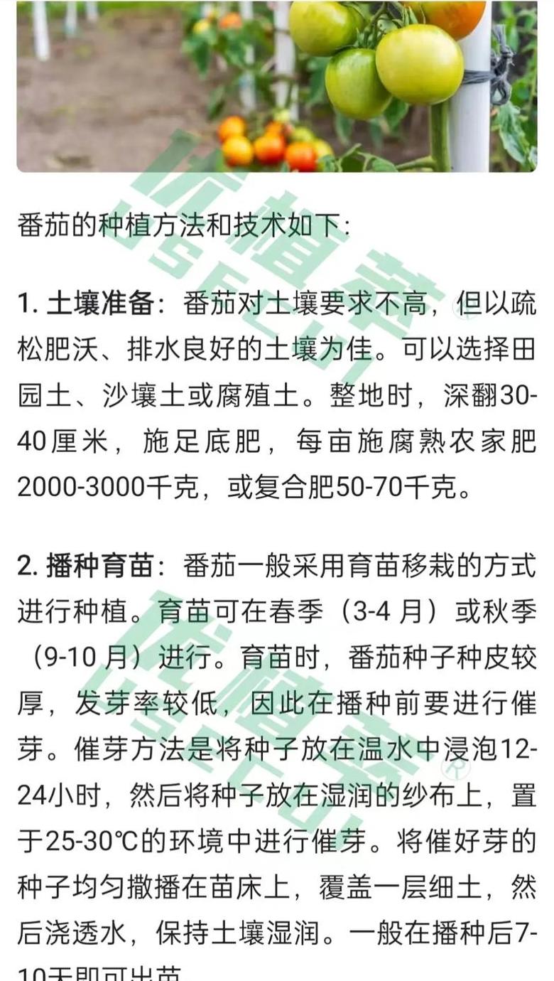 种植园农业：热带地区的大规模单一贸易农业解析