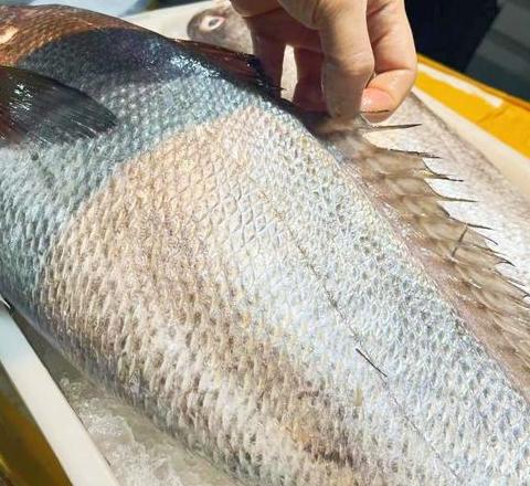 水产动物种类大盘点