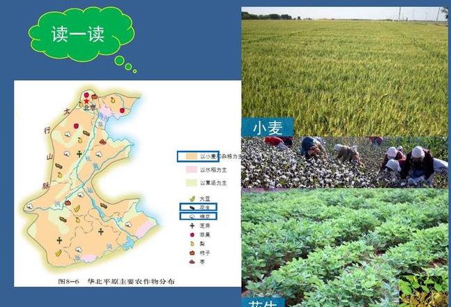 印度地形与气候对农业分布的影响分析