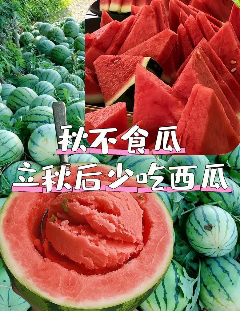 立秋时节蔬菜食谱：清热补身，养颜润燥