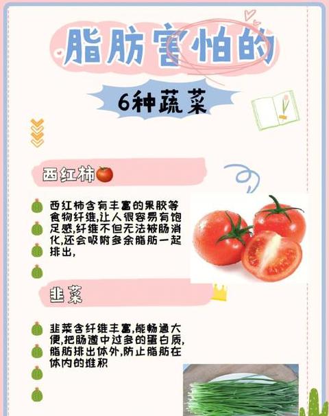 二年级语文词汇精编：词汇表与好词好句积累