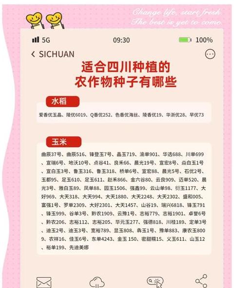 什么天气适合种玉米种子