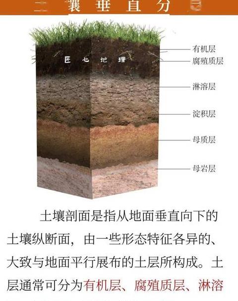 农业耕作层及土壤层次结构详解