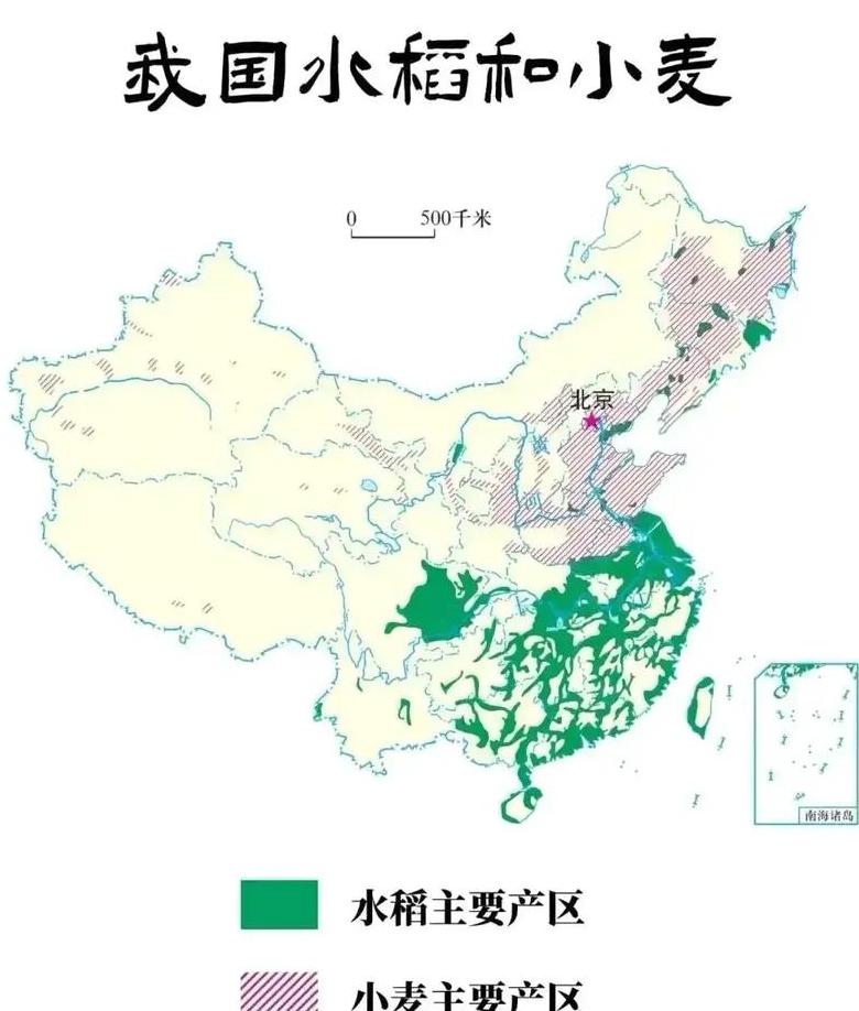 冬春小麦种植分布及种植技巧解析