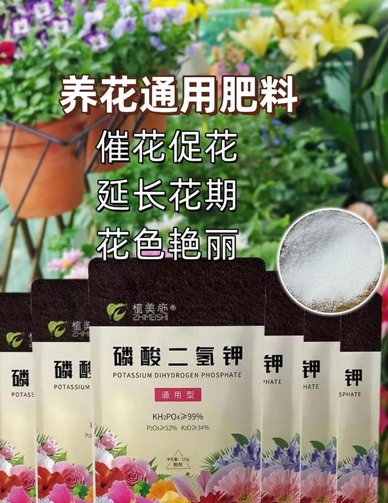 复合肥施花技巧及浇水指南