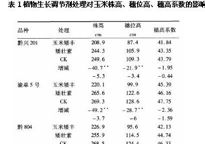 玉米重量计算与修正系数全解析
