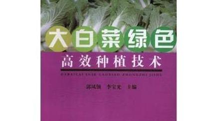 春大白菜种植技巧全解析