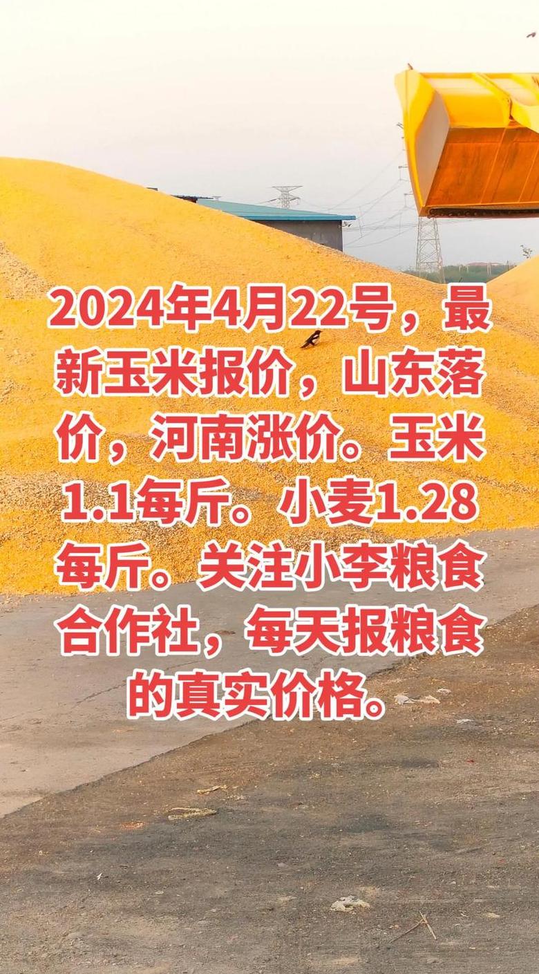 2023年玉米价格走势及各地玉米市场行情一览