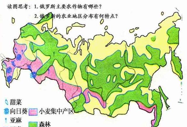 俄罗斯小麦：品质卓越的烘焙之选