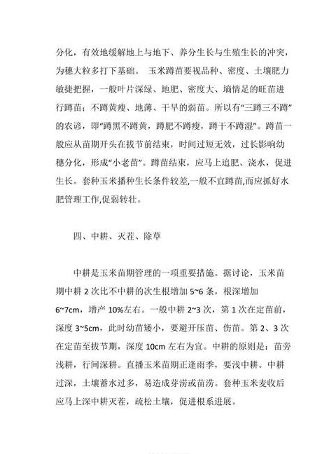 夏季玉米高产种植全攻略：关键技术与要点