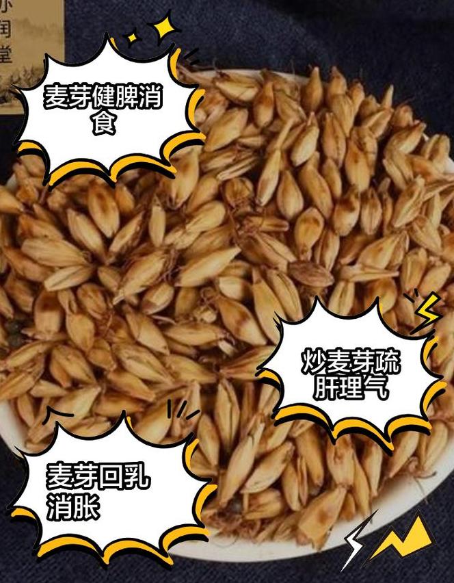 大麦苗与小麦苗：营养差异大揭秘