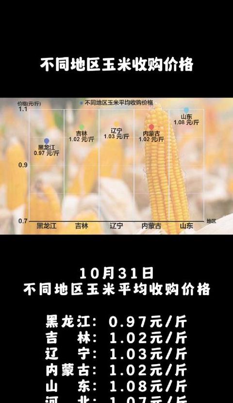 玉米应季月份及收获时间详解