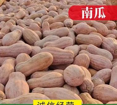 英国留学费用大揭秘：成本解析与名校费用对比