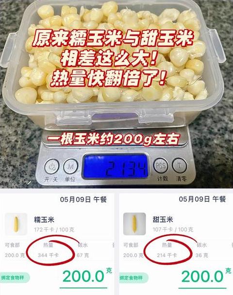 玉米热量解析：减肥利器还是热量炸弹？