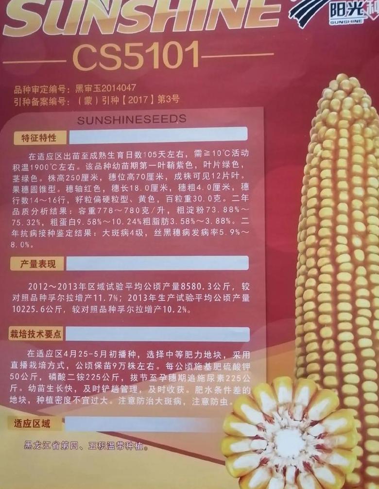 极早熟玉米新品种介绍：Keyu18等品种特点及种植要点