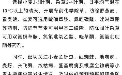 冬季小麦种植与管理关键技术指南
