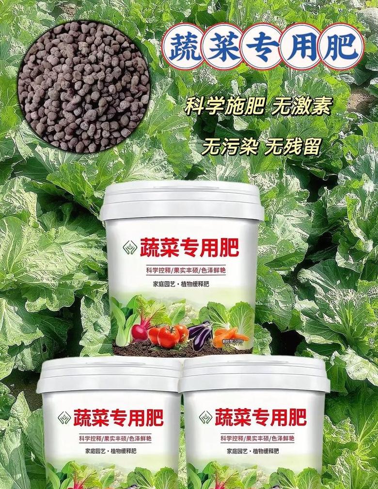 蔬菜施肥后安全食用时间指南
