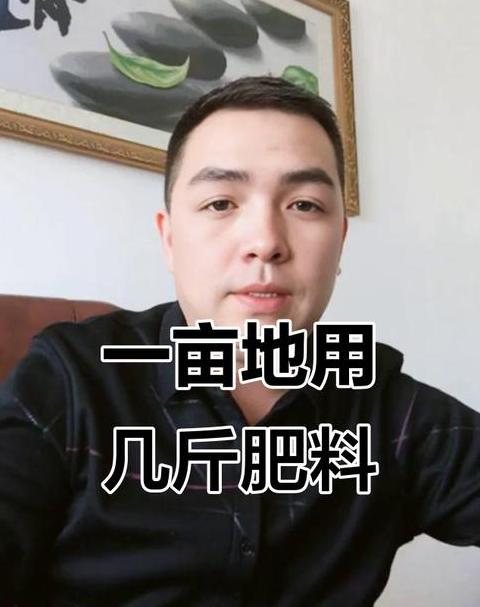 小麦施肥指南：一亩地复合肥使用量解析