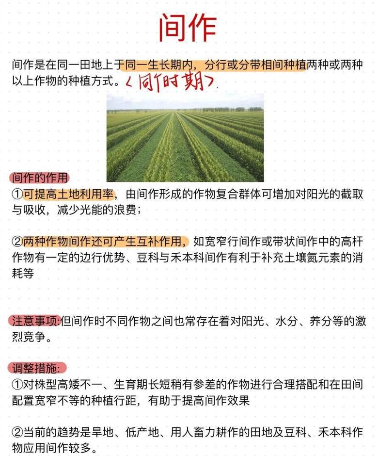 土壤耕作揭秘：关键步骤与重要性
