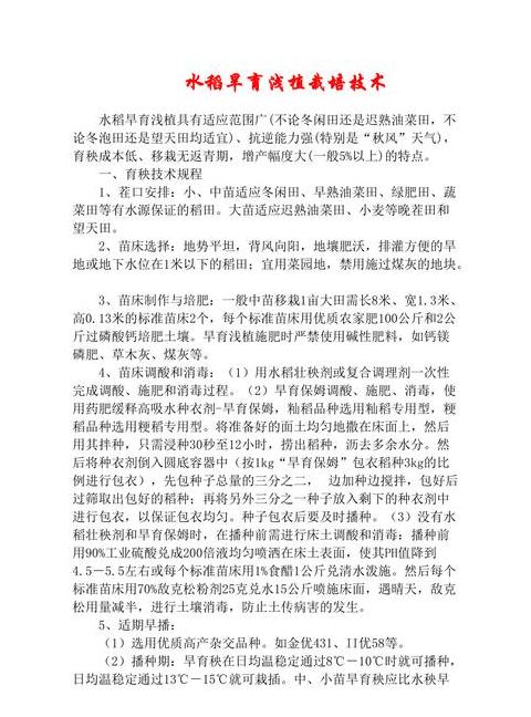 水稻旱种关键技术解析