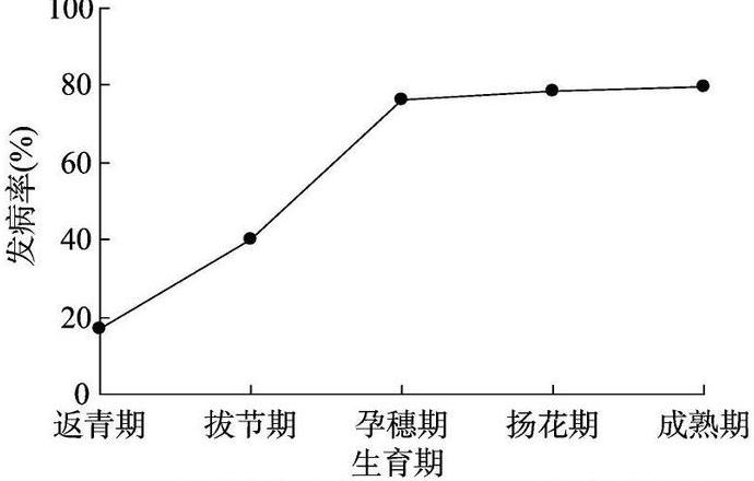 小麦三要素计算公式