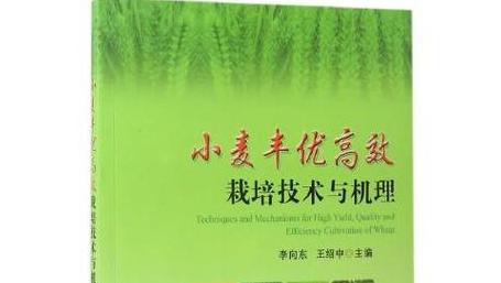 玉米增产攻略：品种选择、土壤管理及种植技巧全解析