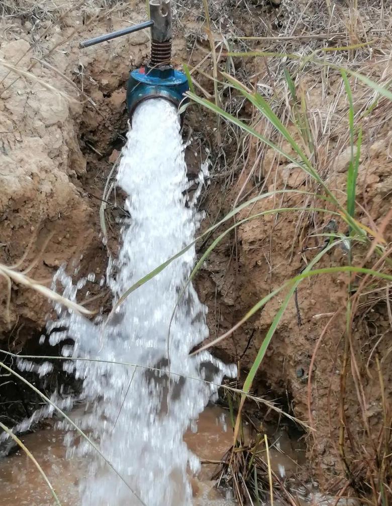 种玉米不下雨怎么办呢