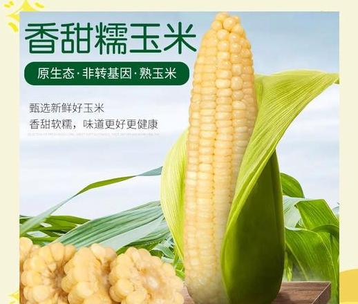 东北方言中的苞米：地域文化下的独特称呼