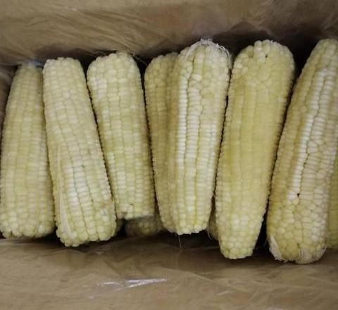 东北速冻粘玉米：营养美味，便捷健康的选择