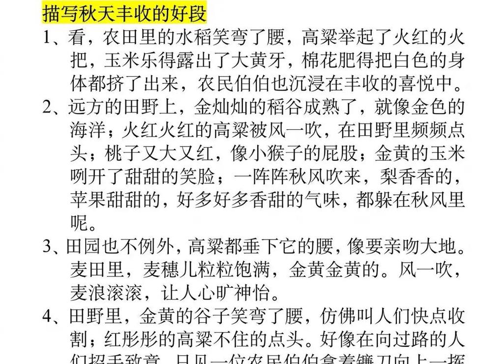 秋收时节唯美句子精选：金色丰收美景