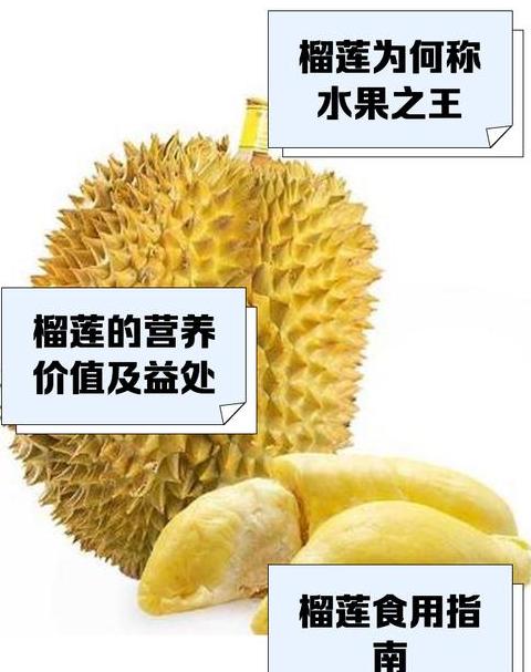 揭秘水果之王：榴莲、猕猴桃、蓝莓的营养对决
