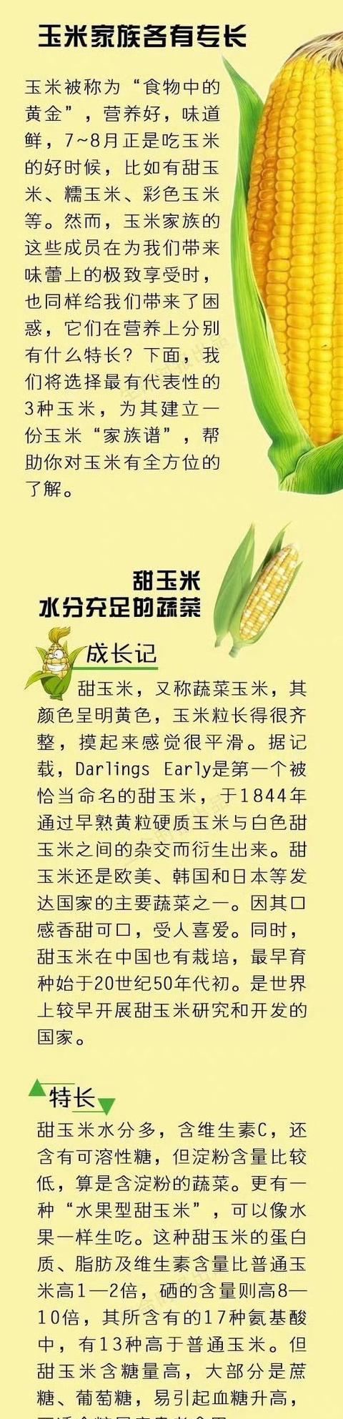 玉米亩产量多少斤？揭秘各地亩产标准