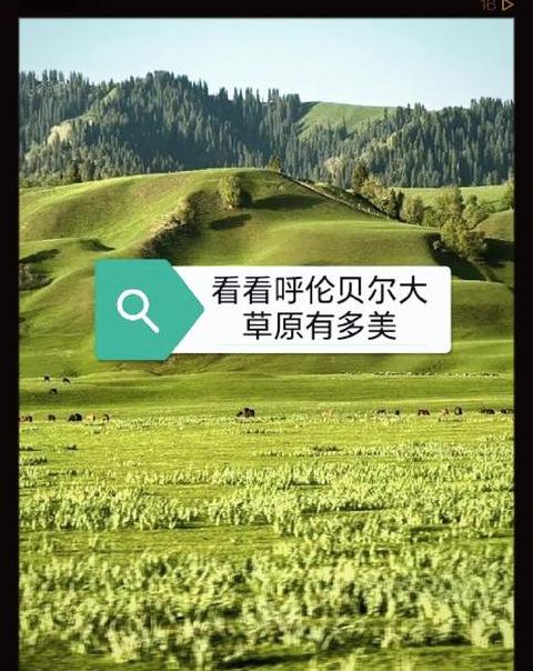 呼伦贝尔大草原七月温度多少度