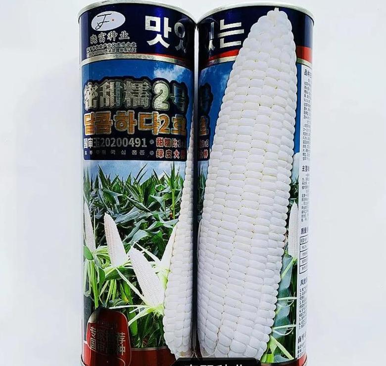 最甜糯玉米种子排行榜推荐