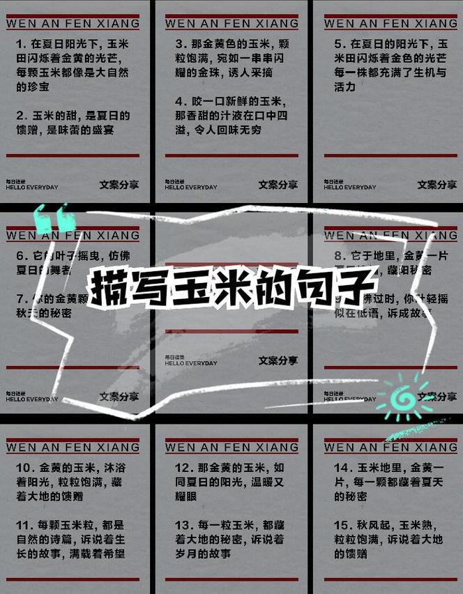 玉米种植的生动描绘感受田园风光