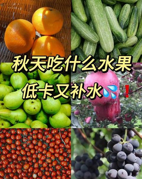 减脂水果推荐：这些美味助你轻松瘦身