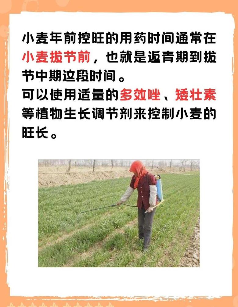 小麦追肥最佳时期及方法详解