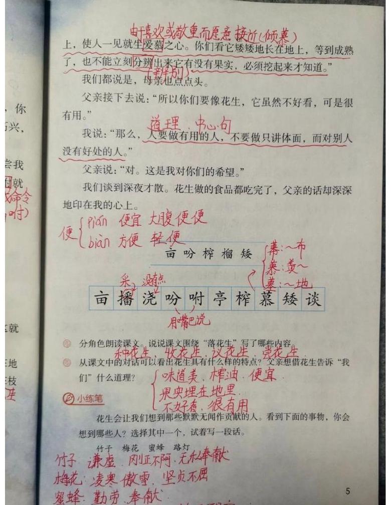 五年级上册第二课落花生课堂笔记详解