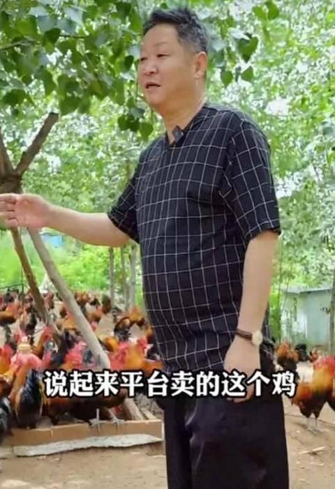 赵亮转型养鸡：三德子变农场主，揭秘幕后故事
