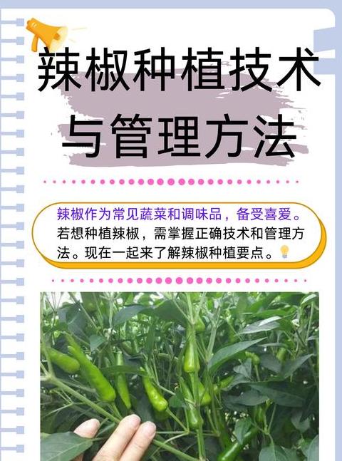 蔬菜种植施肥时间表解析