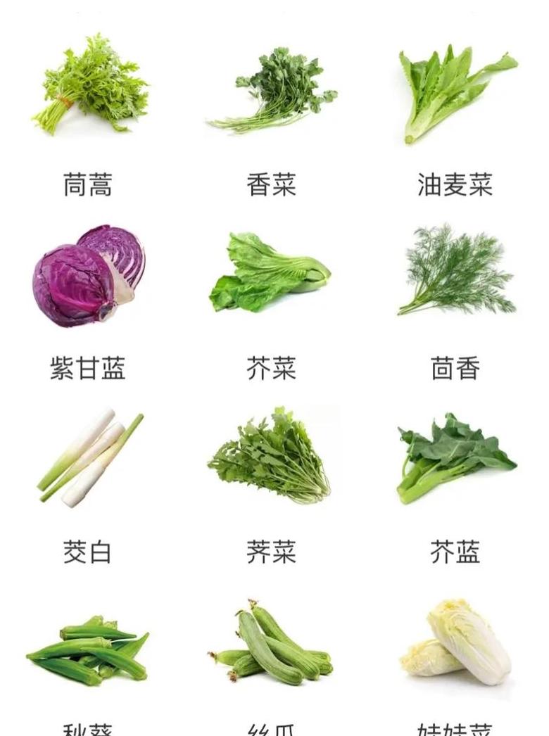 联合国粮农组织推荐的21世纪健康饮食结构揭秘