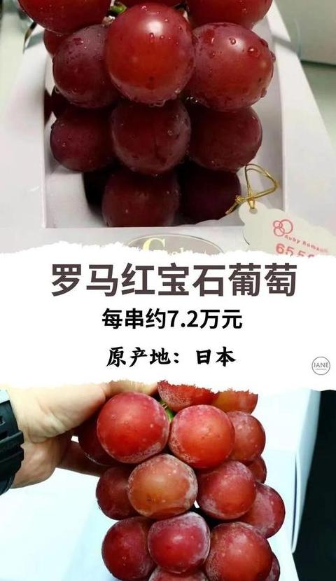 全球最贵水果排行：揭秘十大昂贵水果榜单